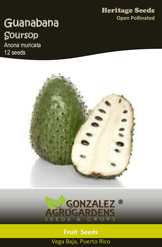 Guanabana Soursop Anonna muricata Seeds