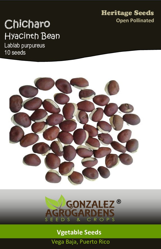 Chicharo/Hyacinth Bean Seeds