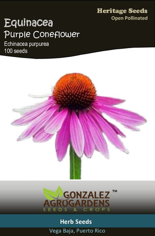 Equinacea Purple Coneflower Seeds