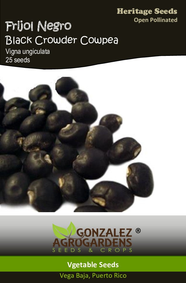 Frijol Negro/Black Cowpea Seeds