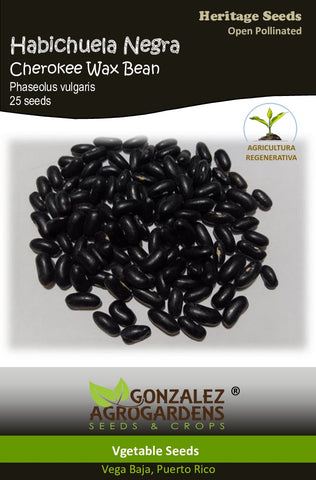 Habichuela Negra/Cherokee Wax Bean Seeds