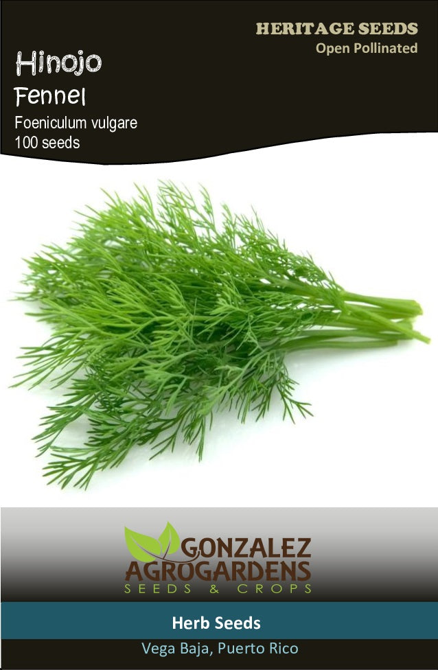 Hinojo 'Foeniculum vulgare' Fennel Seeds