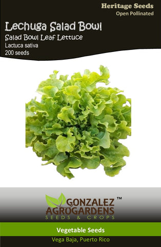 Lechuga Bowl Salad Leaf Lettuce Seeds
