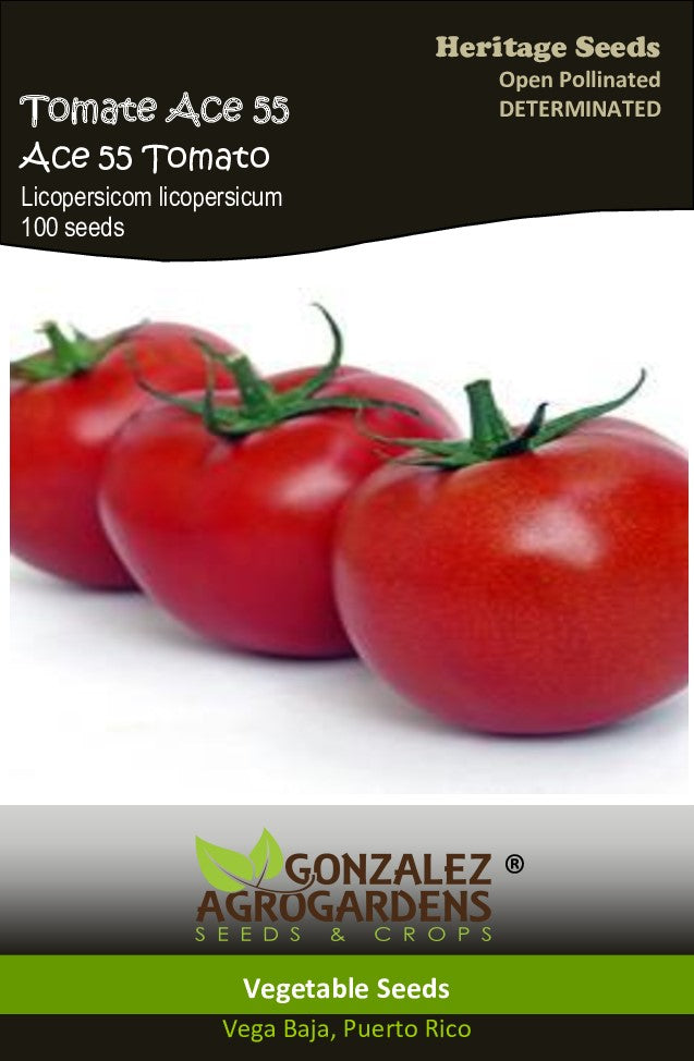 Tomate Ace 55 Tomato Seeds