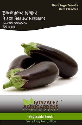 Berenjena Negra Black Beauty Eggplant Seeds
