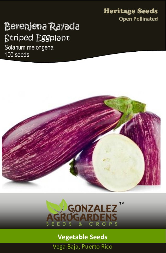 Berenjena Rayada Striped Eggplant Seeds