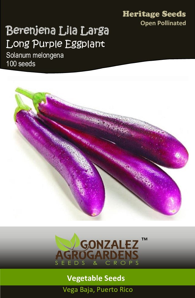 Berenjena Lila Larga Long Purple Eggplant Seeds