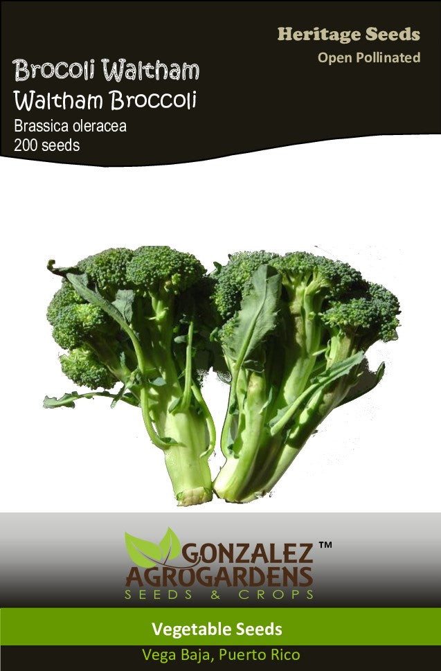 Broccoli Walthan Seeds