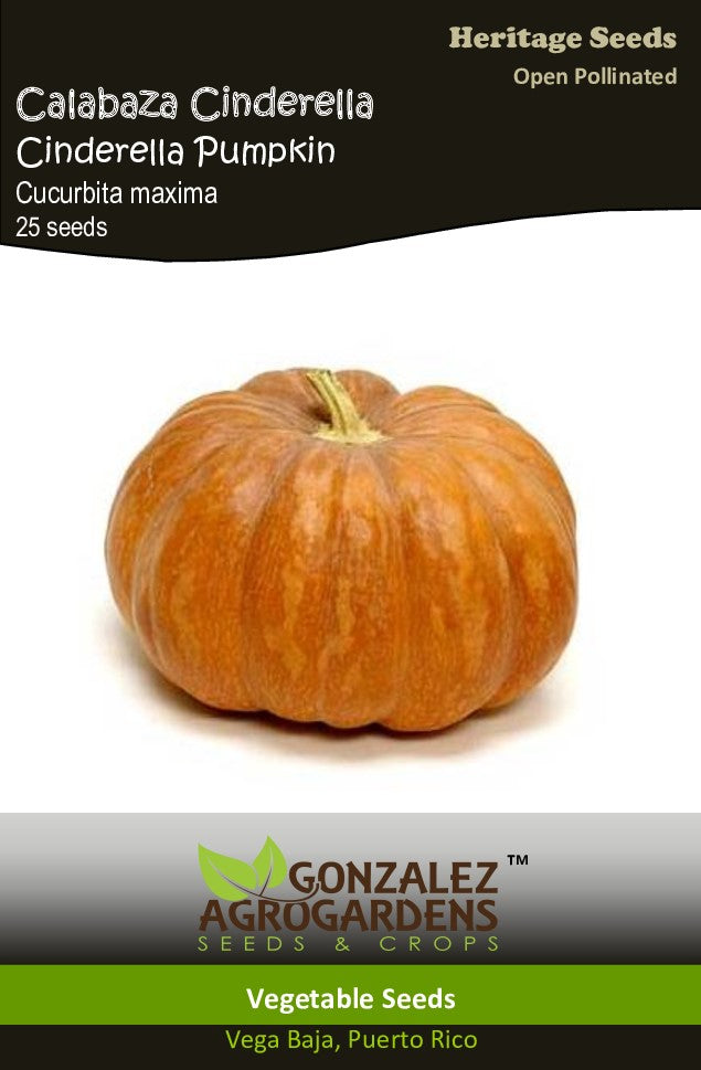 Calabaza Cinderella Pumpkin Seeds