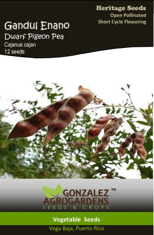 Gandul Enano 'Cajanus cajan' Dwarf Pigeon Peas seeds