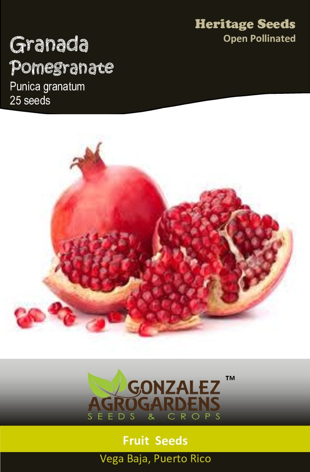 Pomegranate 'Punica Granatum'