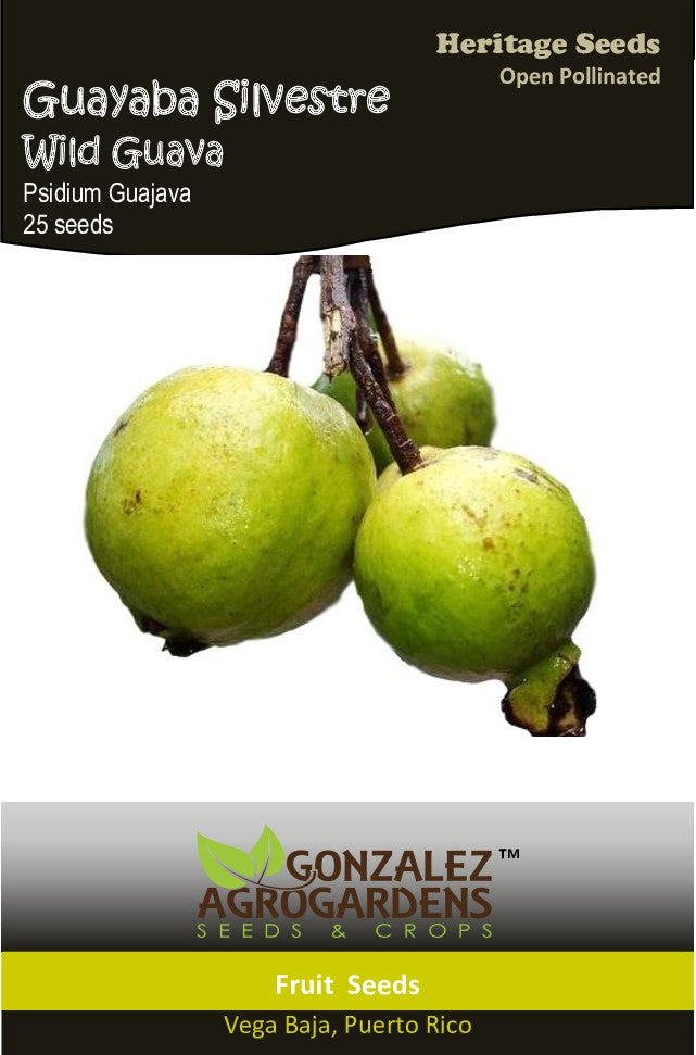 Guayaba Silvestre/Wild Guava Seeds