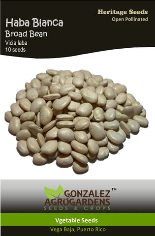 Haba Blanca/White Broad Bean Seeds