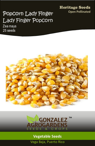 Popcorn/Ladyfinger Popcorn Seeds