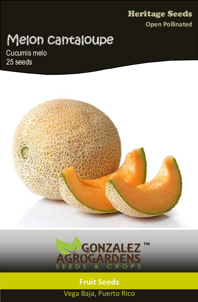 Melon Cantaloupe seeds