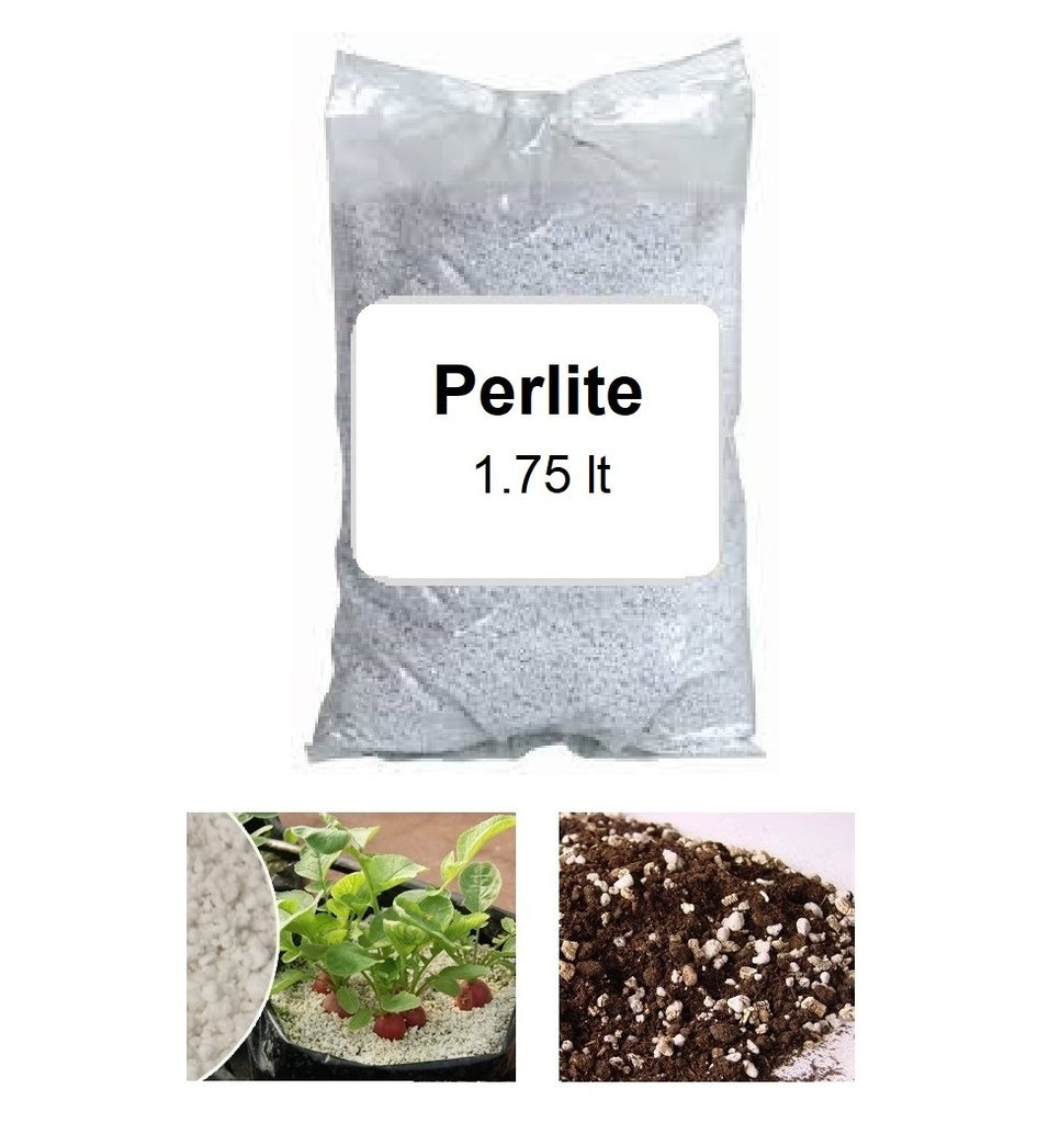 Growing Medium: Horticultural Perlite Soil Conditioner 1.75 Liter