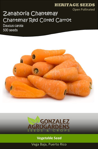 Zanahoria/Chantenay Red Cored Carrot Seeds